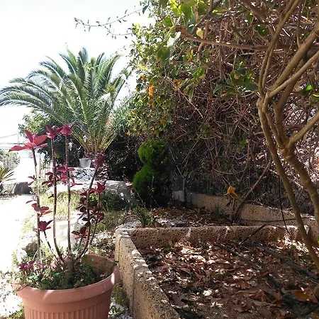 Adeje Tijoco Alto